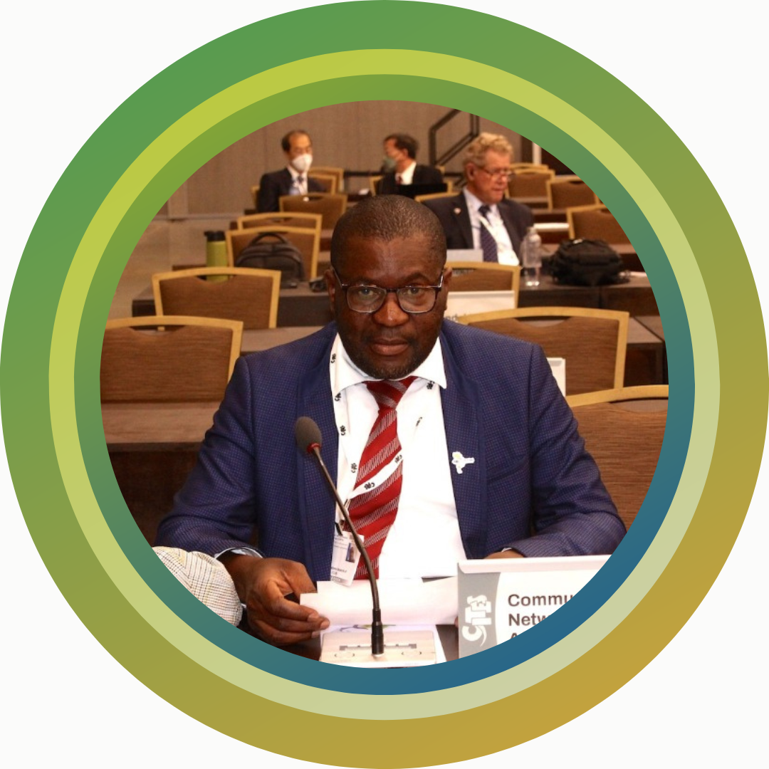 Senior Technical Director