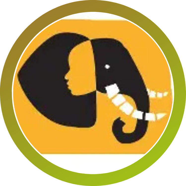 Conservation lower Zambezi